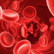 prp_plasma